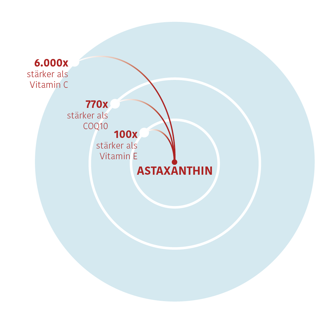 Eine Grafik von Astaxanthin